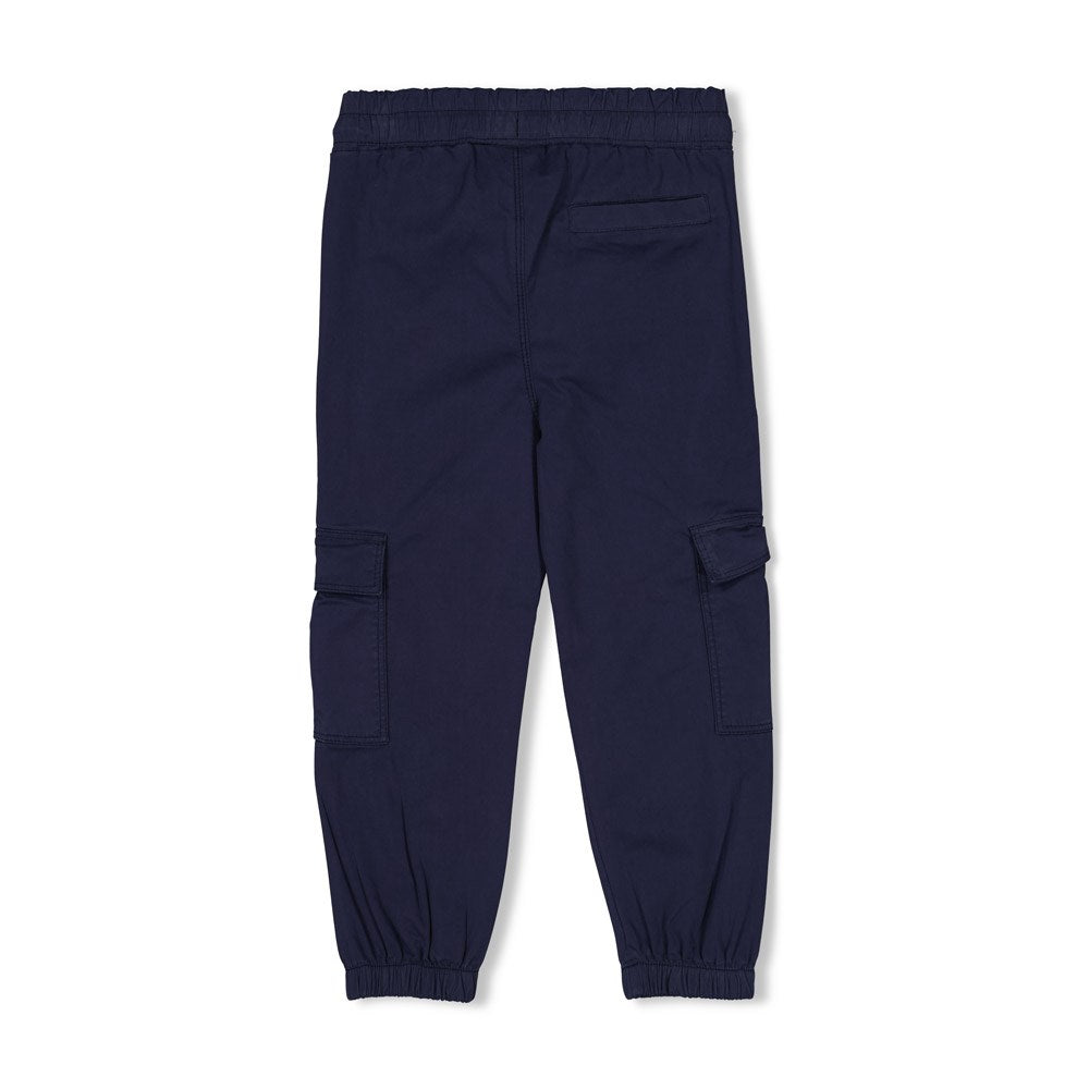 Sturdy Cargo Broek - The Good Life achterzijde